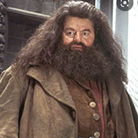 Rubeus Hagrid