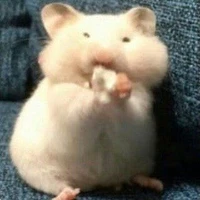 Nhi