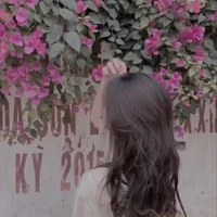 Hạ Tú Anh