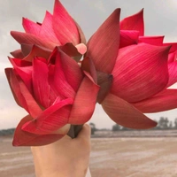 All