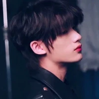 Đinh Trình Hâm (Anh)