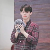 Win metawin