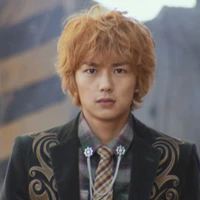Gokai Green-Don Dogoier
