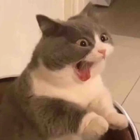 Tác giả =)))