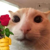 Người bí ẩn 🥴