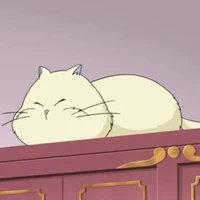 Mimi