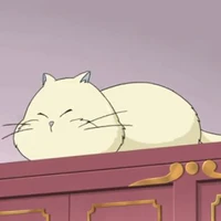 Mimi