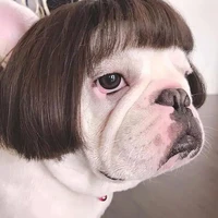 Cam nè:)