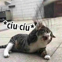 Nhân vật quần chúng:))