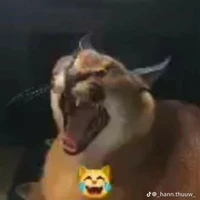 tg