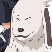 Akamaru