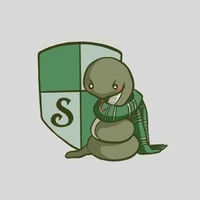 Hs slytherin