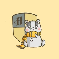 Hs hufflepuff