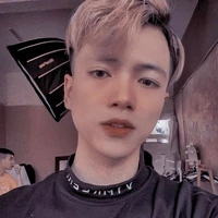 hoài việt(vịt)