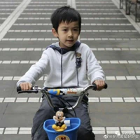 Hạ Gia Vân