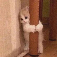 tác giả iu đọc giả