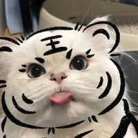 Tác giả:>