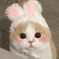 Mochi