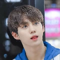 cậu Độc Cô Bác