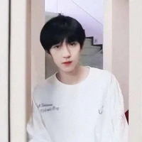 Hạ Tuấn Lâm