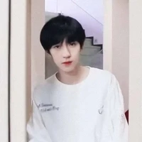 Hạ Tuấn Lâm