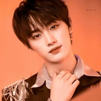 Đinh Trình Hâm