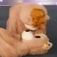 Các anh