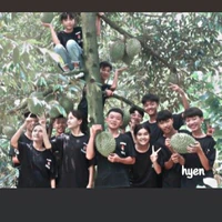 Cả Team