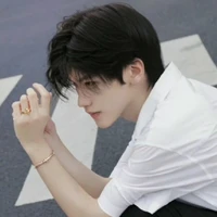 Vũ Nhĩ Giai Ngạn