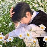 Dương Lâm Bảo Nam [ na8 ]