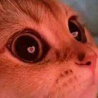 tg bị thỉu năng