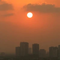 c.cậu