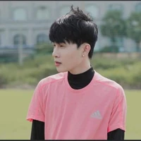 Trịnh Trần Phương Tuấn