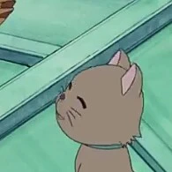 Mèo nâu