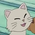Mèo trắng