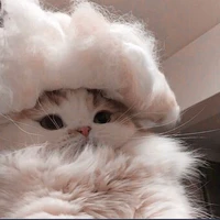 Tg nèeee