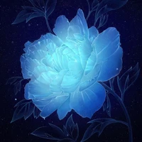 Death_Hệ thống của cậu