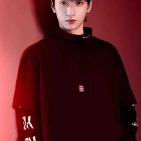 Nghiêm Hạo Tường