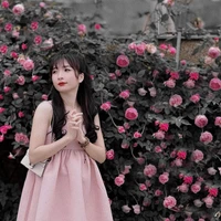 Yến Xôi
