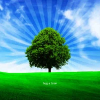 Cái Cây 🌳