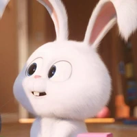 hệ thống 57 - Snowball