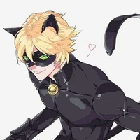 Cat Noir(Mèo Mun)