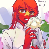 Việt Nam ( An Nam )