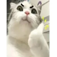 HT mẽo ú