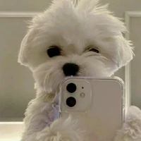 TG siu cutee