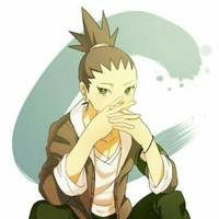 Nara ShiKadai