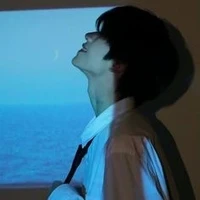 Vương Lâm Bảo Bình