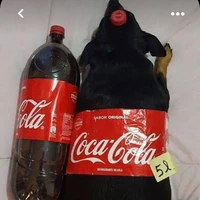 Đám con trai