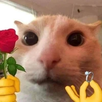 Kayii (T/g lười bome: