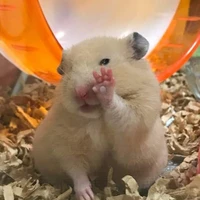 tác giả